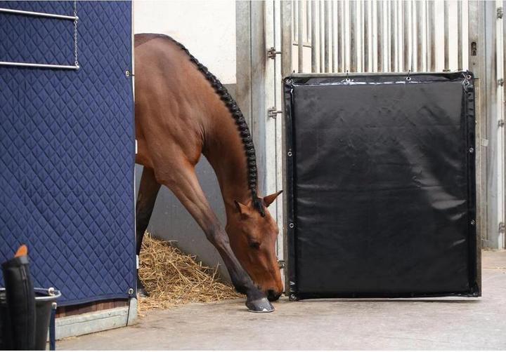 Image du produit Kentucky Horsewear Tapis de protection Kick Pad