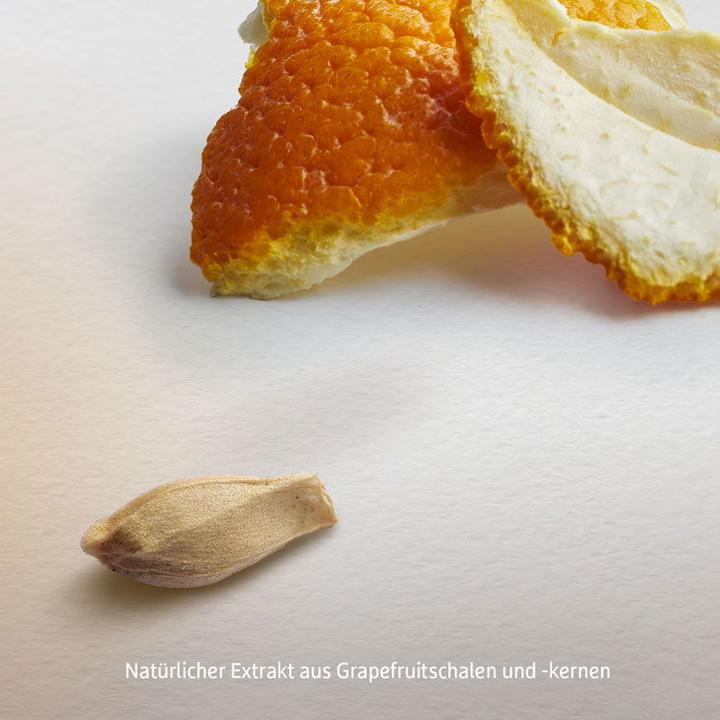 Actual product image Effective Nature Grapefruitkernextrakt (1 Piece, Liquid)
