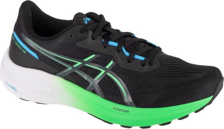 ASICS Performance Laufschuhe (47)