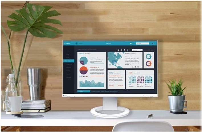 Actual product image Eizo EV2490 FlexScan (1920 x 1080 pixels, 23.80")