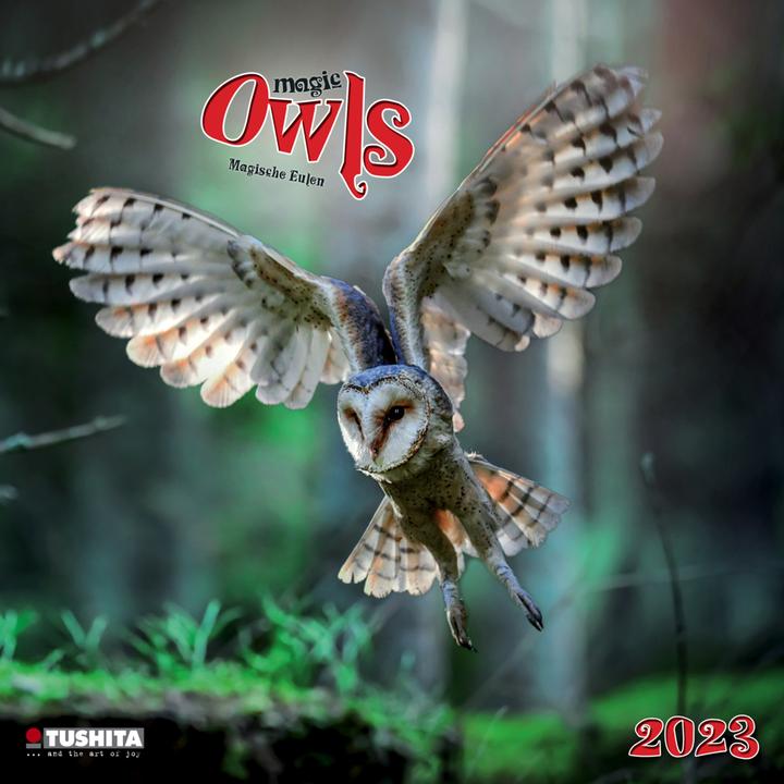 Image du produit Magic Owls 2023 (30 x 30 cm, Couverture rigide, Espagnol, Français, Tchèque, Italien, Néerlandais, Polonais, Allemand, Anglais)