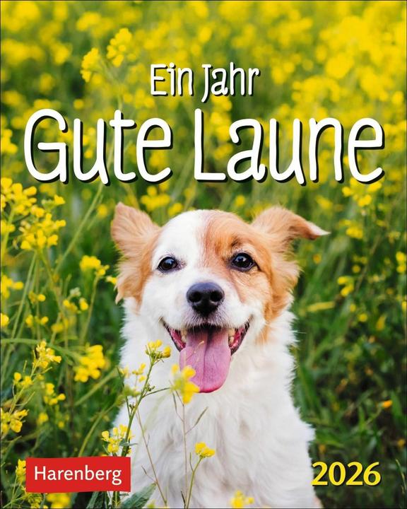 Actual product image Harenberg Ein Jahr gute Laune Mini-Geschenkkalender 2026 (Hardcover, German)
