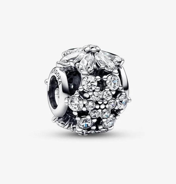 Immagine prodotto Pandora Cluster Erbario scintillante (Argento 925)