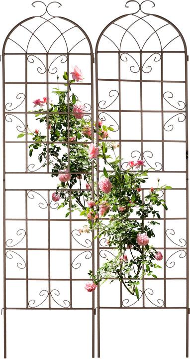 Produktbild Relaxdays 2x Rankgitter (52 cm, 2 cm)