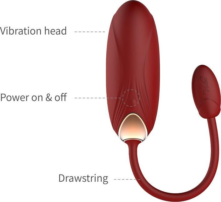 Actual product image Viotec Oliver Pro Portable Vibrator with App Control