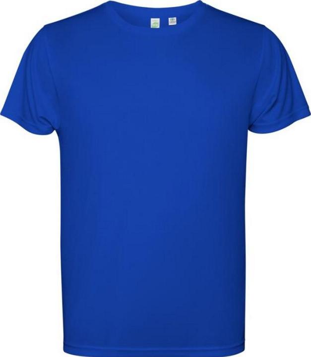 Bleu roi