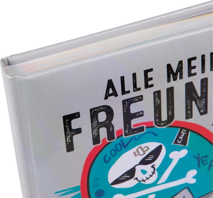 Produktbild Goldbuch Freundebuch Skater (A5)