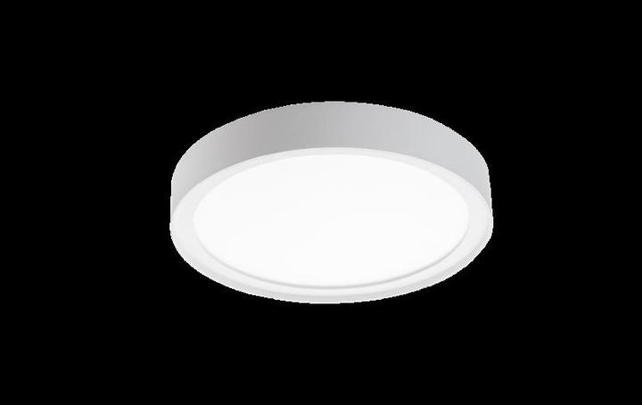 Actual product image Sg LIGHT UP 606039