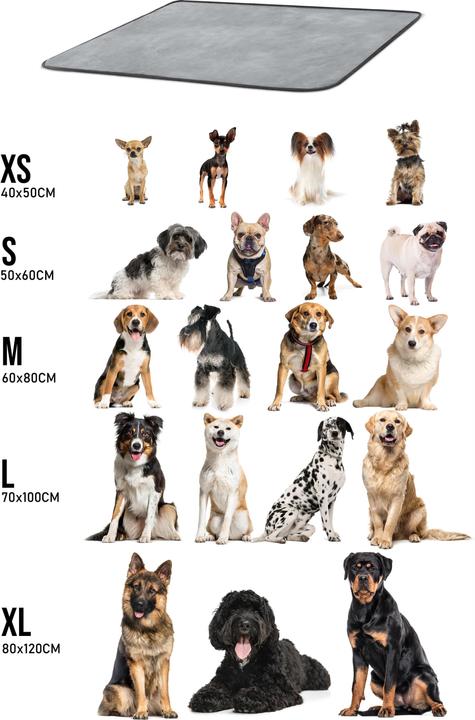 Produktbild Aspero Hundedecke Lund (Hund)