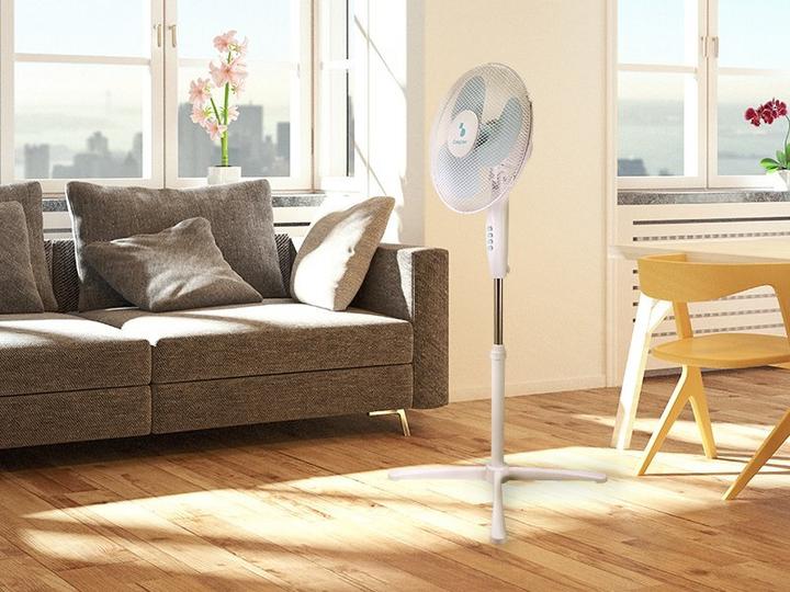 Actual product image Beper P206VEN102