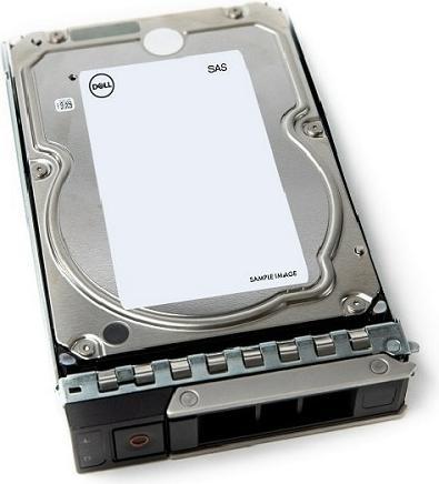 Actual product image Dell 12TB 7.2K RPM NLSAS ISE 12Gbps (12 TB, 3.5")