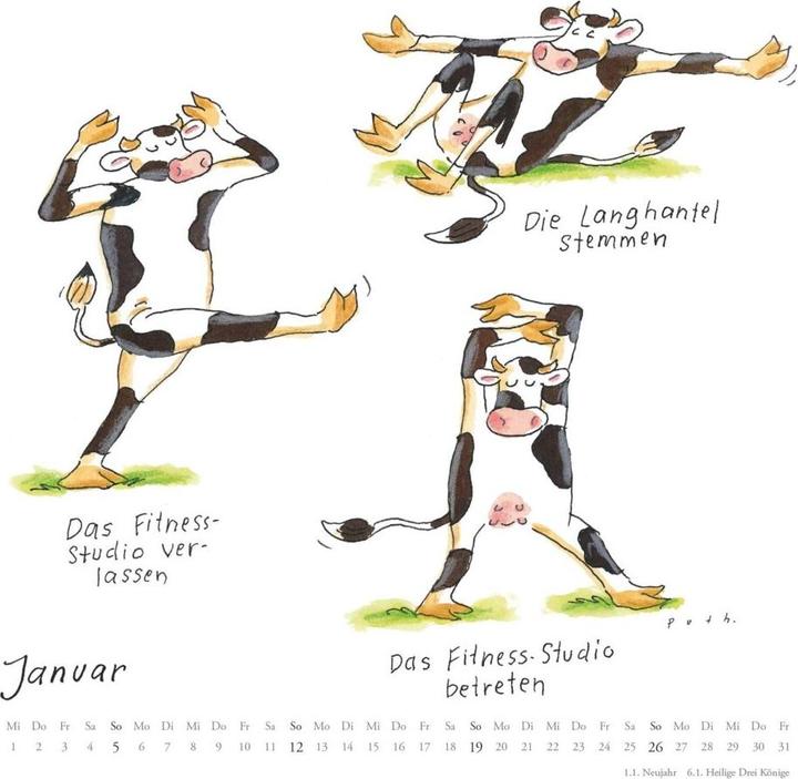 Produktbild Mit den Yoga-Kühen durchs Jahr 2025 – Wandkalender – Quadratformat 23 x 23 cm (24 x 24 cm, Harter Einband, Deutsch)
