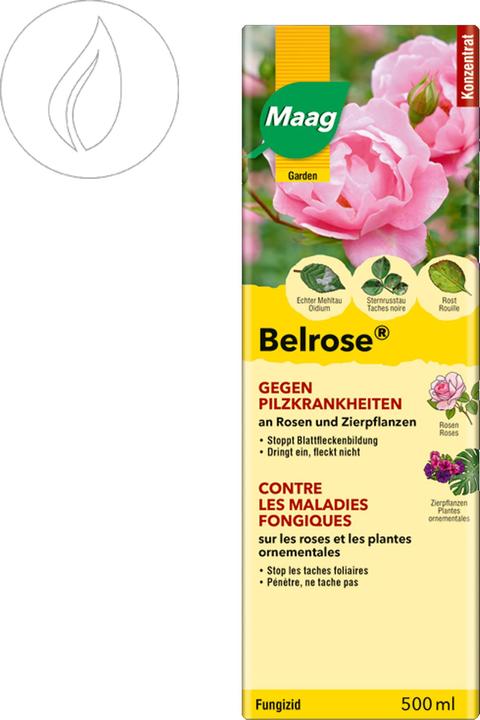 Produktbild Maag Belrose (Mehltau)
