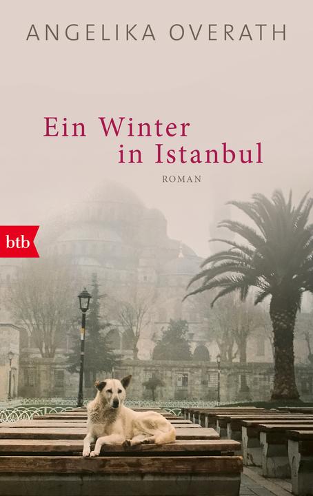 Produktbild Ein Winter in Istanbul (Deutsch, Angelika Overath, 2023)