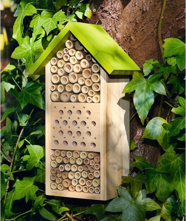 Image du produit Expédition Nature (Abeilles sauvages)