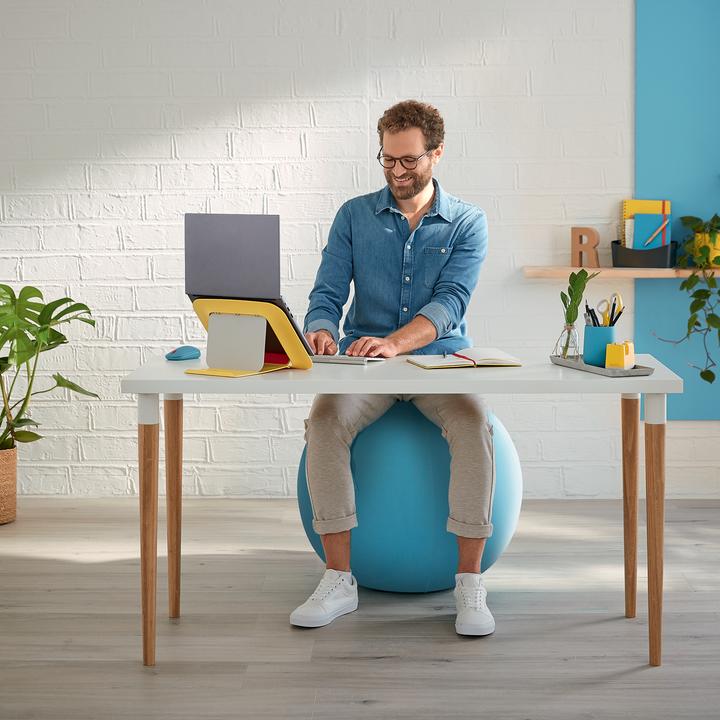 Produktbild Leitz Ergo Cosy Active Sitzball (65 cm)