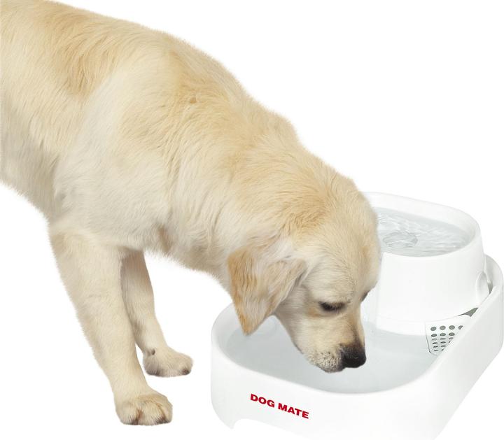 Actual product image Dog Mate Drinking fountain (6 l)