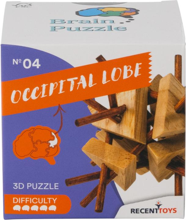 Actual product image Recent Toys Brain Puzzle No.4 Occipital Lobe (German)