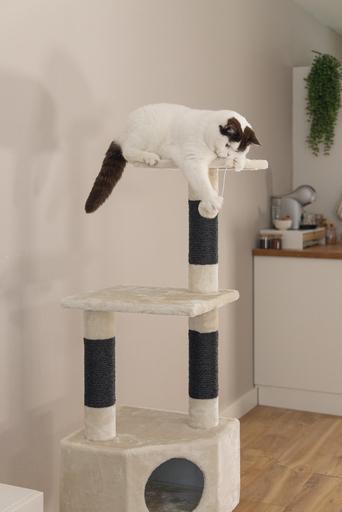 Immagine prodotto Beeztees Figado (135 cm, Beige)