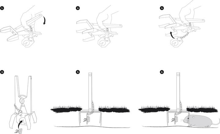 Actual product image Gardigo Vole pincer trap