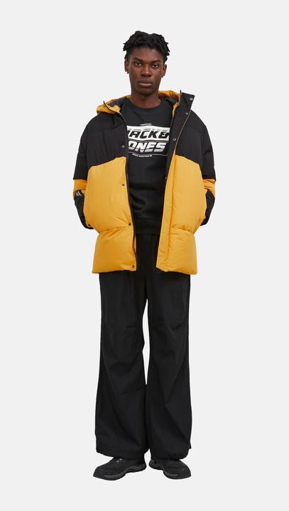 Image du produit Jack & Jones Force (M)