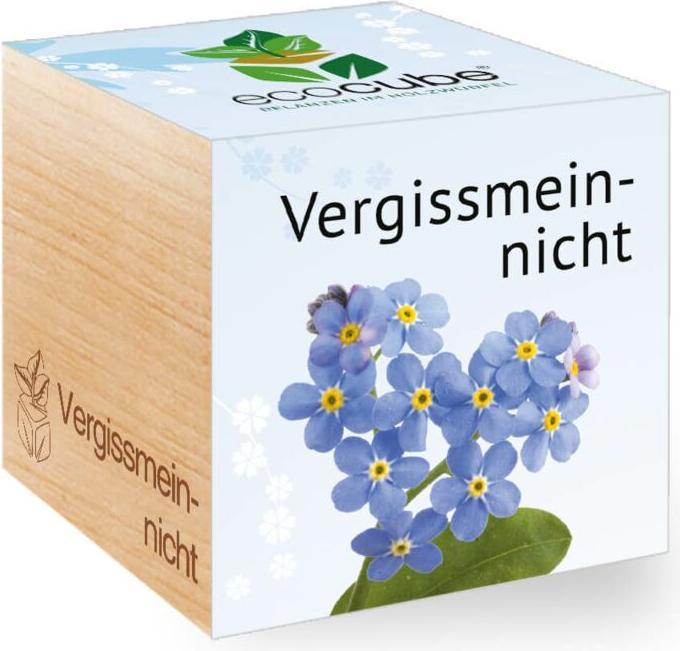 Produktbild Feel Green Ecocube (Blumensamen)