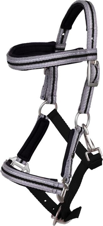 Qhp Cavezza per puledro con fascia per le sopracciglia