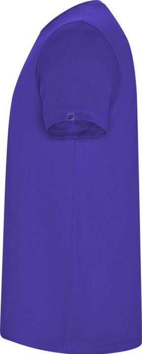 Immagine prodotto Alpinia Imola Maglietta Sportiva Maniche Corte Uomo (XL)