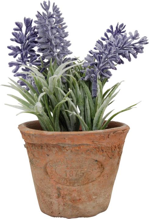 Produktbild Esschert Design AH009 (15.50 cm)