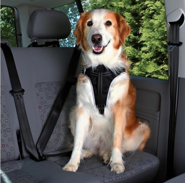 Trixie Harnais pour voiture Dog Protect
