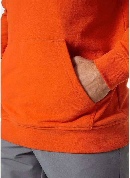 Actual product image Helly Hansen HH Logo Hoodie (M)