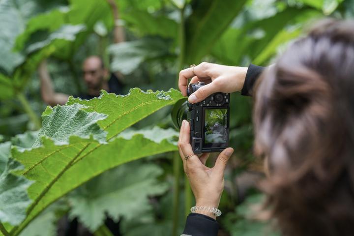 Image du produit Sony Alpha 7C R (61 Mpx, Plein format)