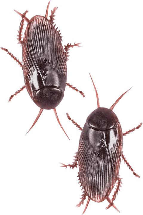 Actual product image Erfurth Cockroaches