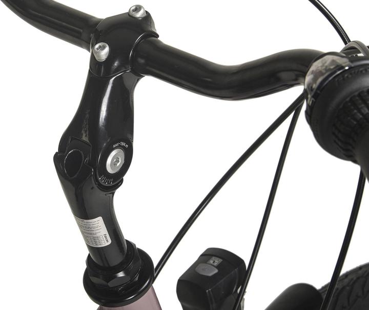Actual product image Hollandia Dutch bike ladies 28" City Next RH 50 cm 6 gears (50 cm)