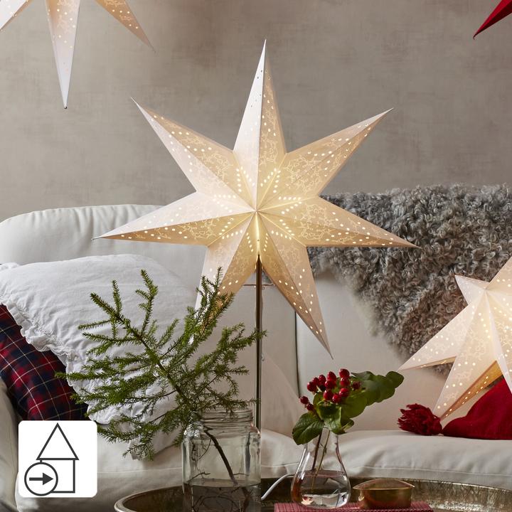 Actual product image Star Trading Sensy