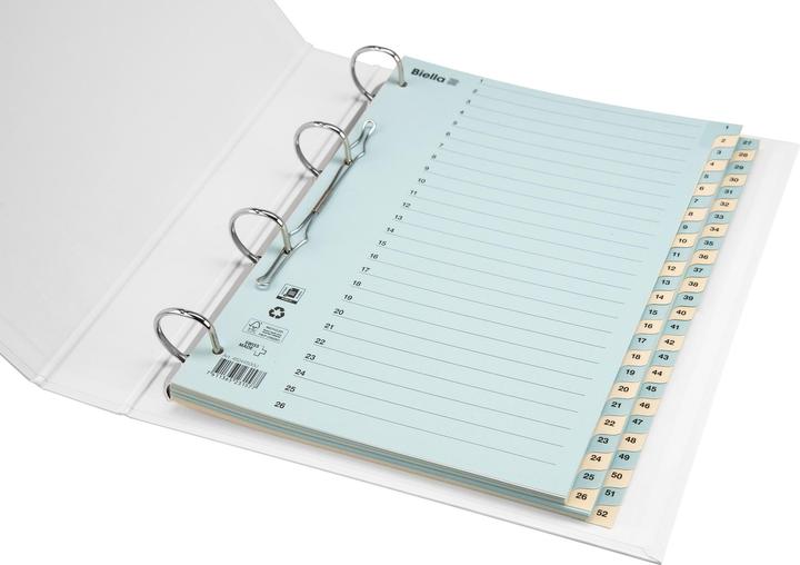 Actual product image Biella Index cardboard A4 1-52, 4holes