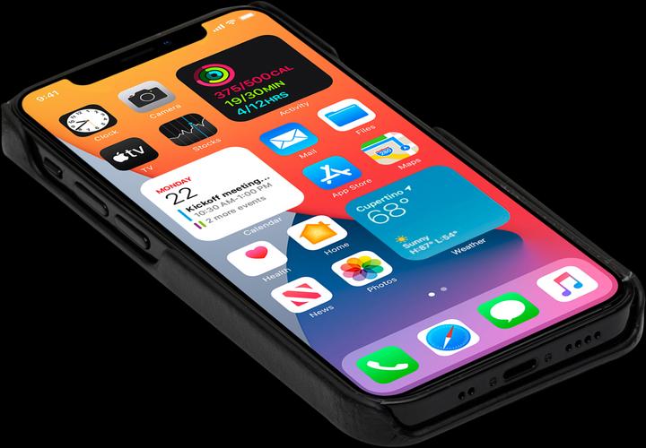 Actual product image dbramante1928 Lynge (Apple iPhone 12 mini)
