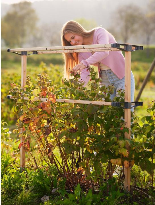 Productafbeelding Gusta Garden BERRY BUDDY modulaire bruine bessenhouder (93 cm, 11.90 cm)