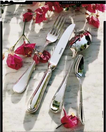 Actual product image Villeroy & Boch Table cutlery 24pcs. crossband Septfontaines (24 Piece, Cutlery set)