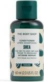 Actual product image Body Shop Conditioner (60 ml)