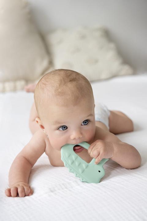 Image du produit Tikiri Anneau de dentition crocodile