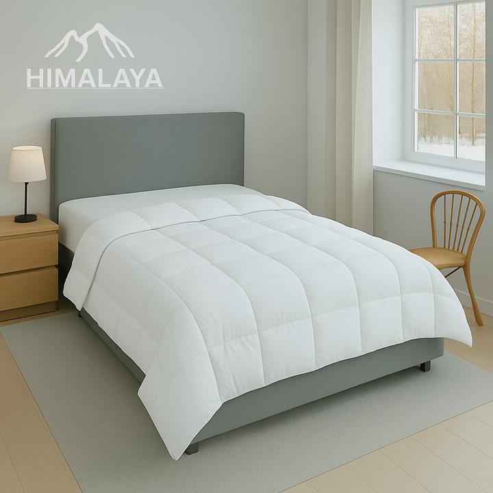 Actual product image Traumschlaf Himalaya (620 g, 160 x 210 cm)
