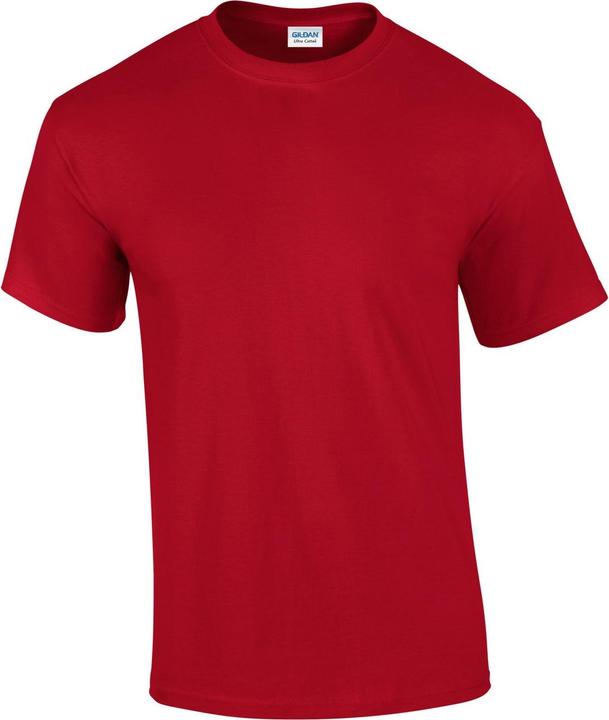 Gildan TShirt (L)