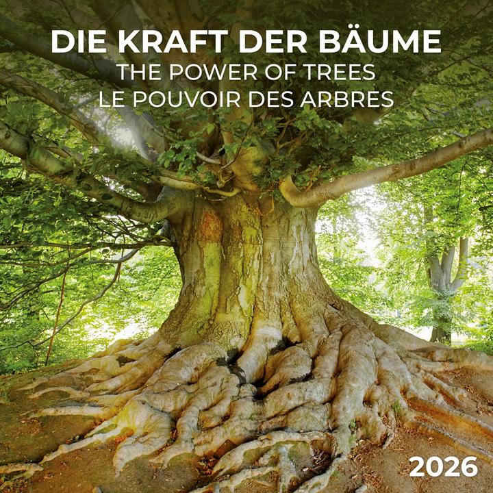 Immagine prodotto Die Kraft der Bäume 2026 (30 x 30 cm, Copertina rigida, Tedesco)