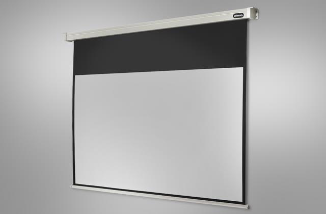 Actual product image Celexon Professional Line (122.05", 16:9)