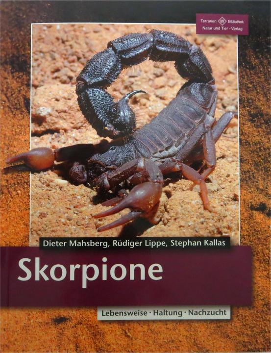 Produktbild Skorpione: Lebensraum, Haltung, Zucht (Deutsch, Rüdiger Lippe, Stephan Kallas, Dieter Mahsberg, 2012)