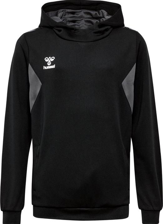 Actual product image hummel Hmlauthentic Pl Hoodie Kids (152)