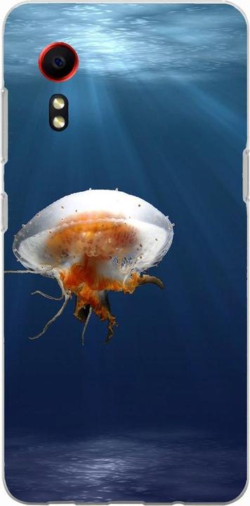 Jellyfish