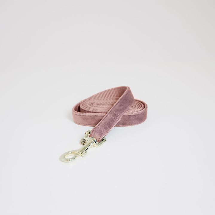 Produktbild Kentucky Dogwear Hundeleine Velvet (L, Hund, Allgemein)