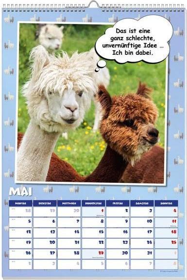 Immagine prodotto Cool calendario poster dei lama 2025 (Tedesco)
